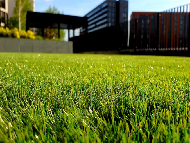 Grass Cutting